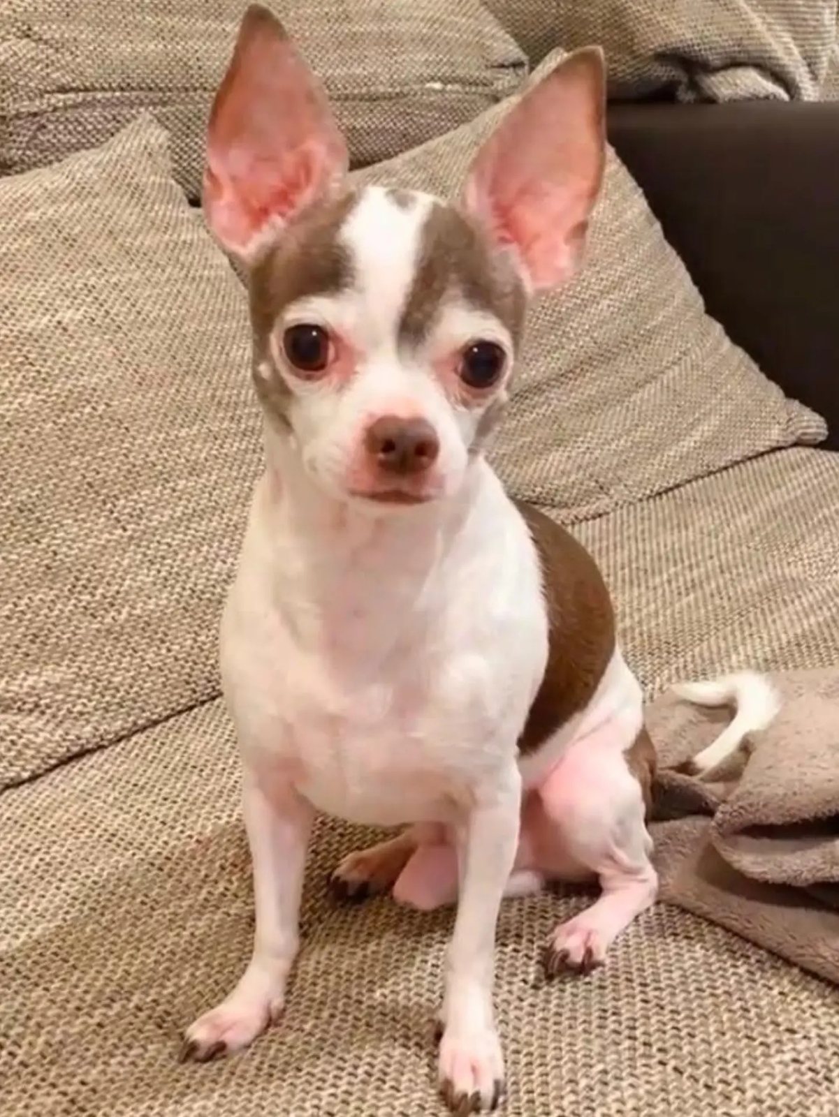 Foto de Willy